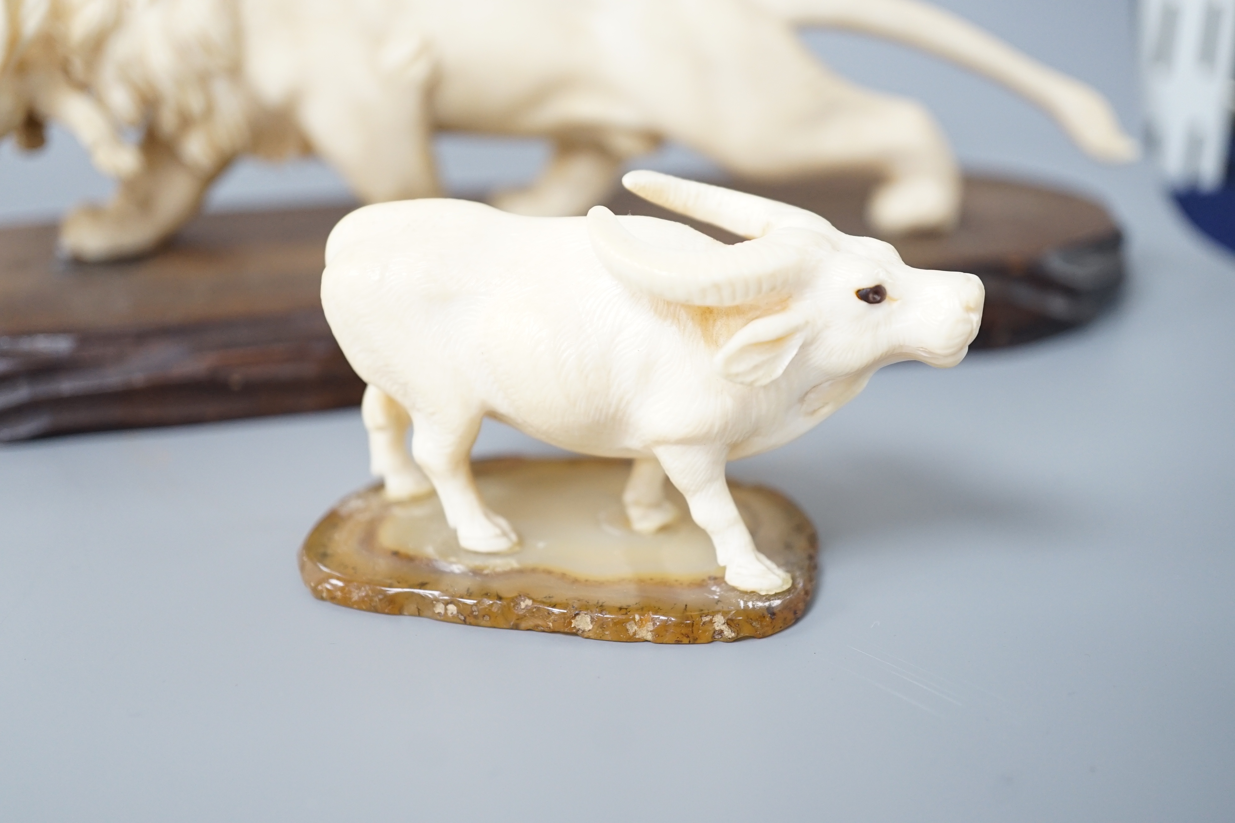 A Japanese ivory group of a lion grasping a hare in its mouth, wood stand, Meiji period, together with a similar figure of a water buffalo (2) largest 22cm